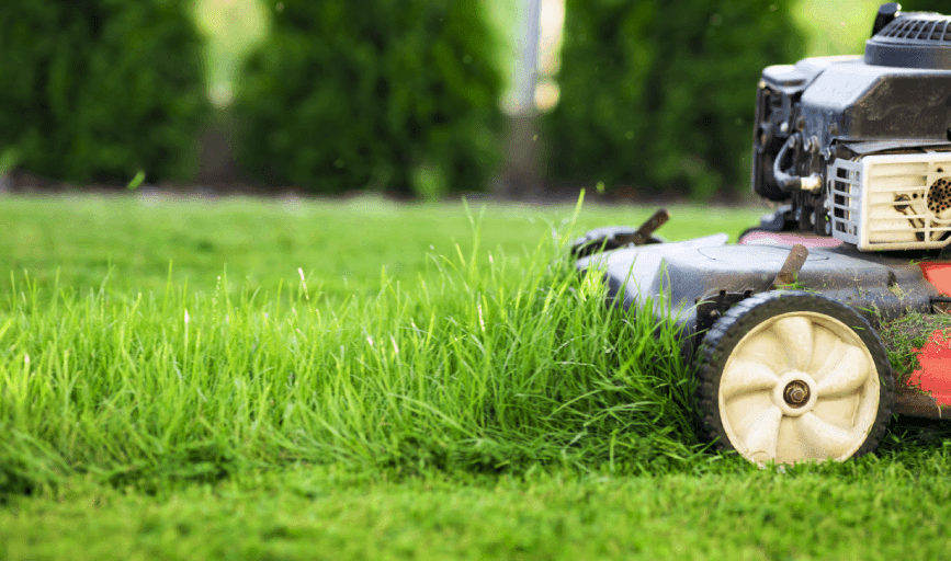 Lawn Care